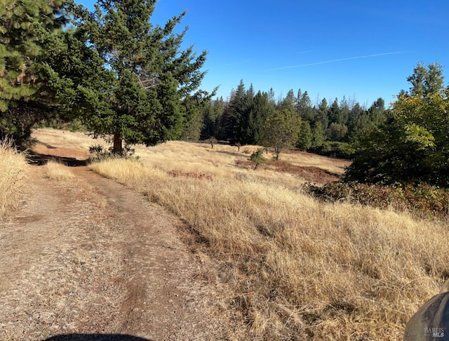 view of local wilderness