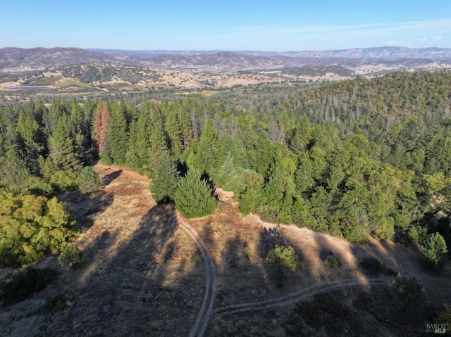 bird's eye view featuring a mountain view and a forest view