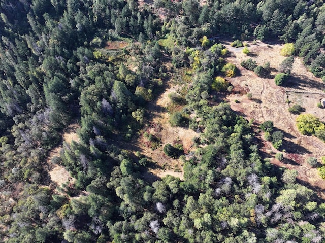 drone / aerial view with a wooded view