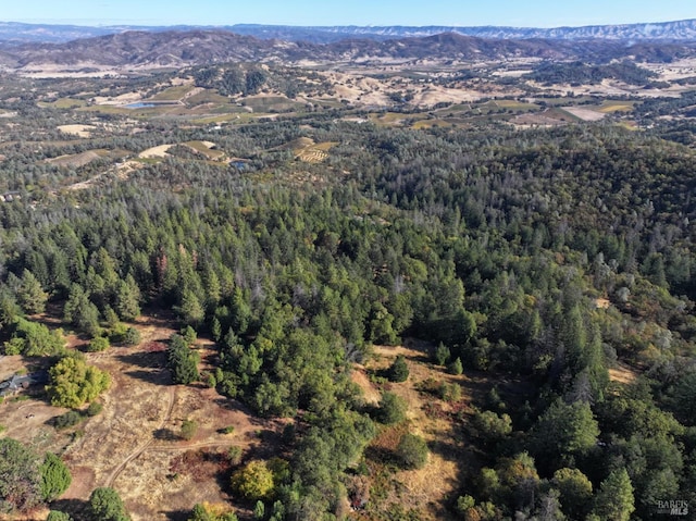 birds eye view of property featuring a mountain view and a forest view