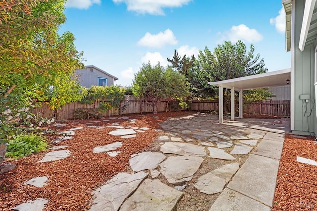 view of yard featuring a patio