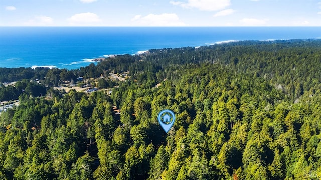 aerial view with a wooded view