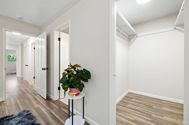 hallway with light hardwood / wood-style floors and crown molding