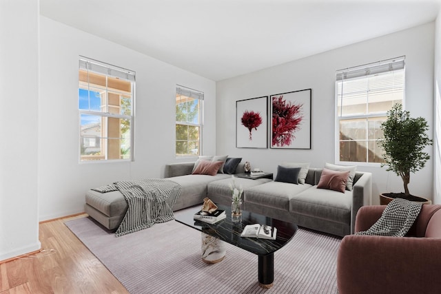 living room with light hardwood / wood-style flooring and plenty of natural light