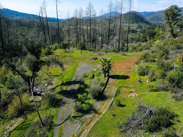 510 Deer Park Rd, Saint Helena, CA 94574
