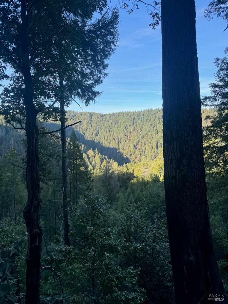8555 Signal Ridge Rd, Philo, CA 95466