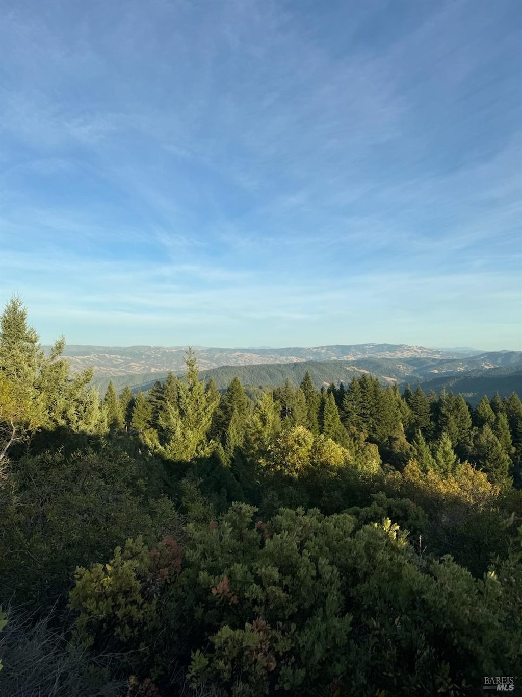 8555 Signal Ridge Rd, Philo, CA 95466