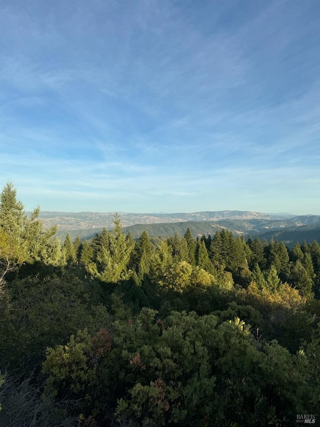 8555 Signal Ridge Rd, Philo, CA 95466