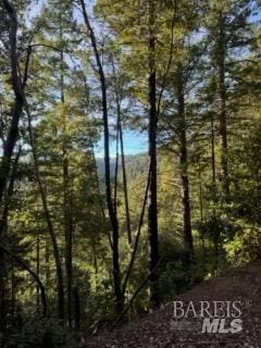 8555 Signal Ridge Rd, Philo, CA 95466