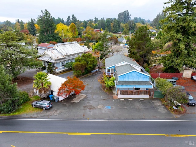 bird's eye view