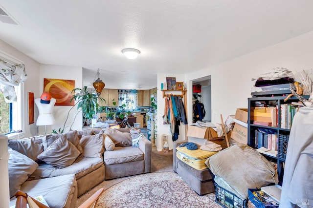 living room with light colored carpet and a textured ceiling