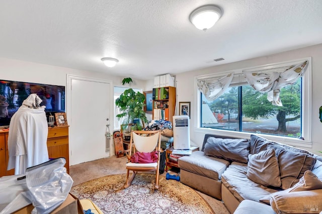 living room featuring carpet and a textured ceiling