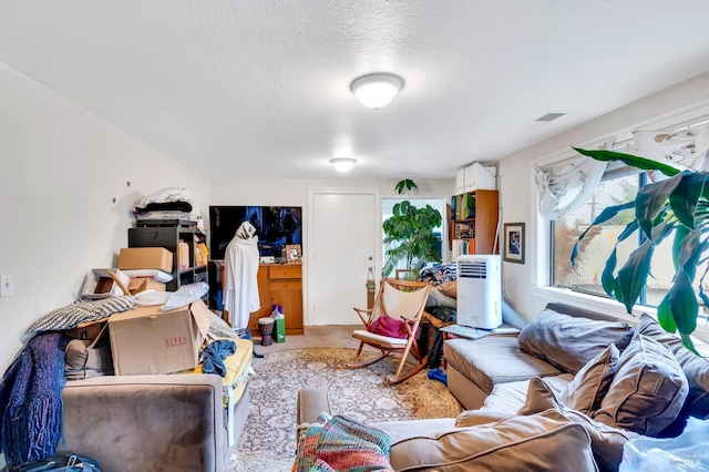 living room featuring a textured ceiling