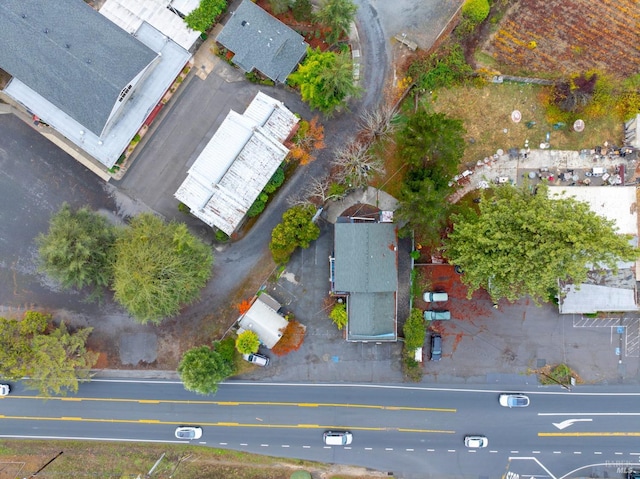 bird's eye view