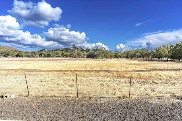 view of yard with a rural view