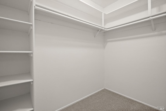 walk in closet featuring carpet