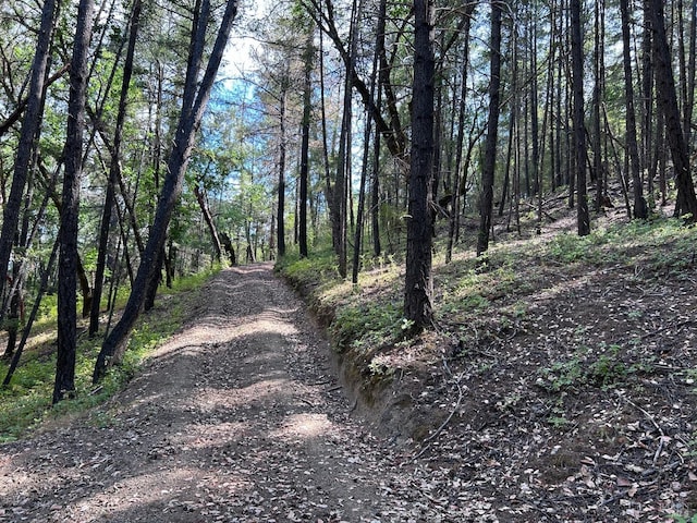 view of road