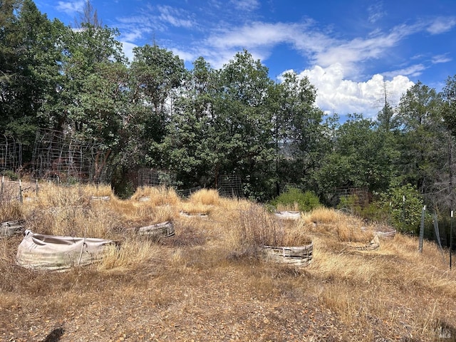 view of landscape