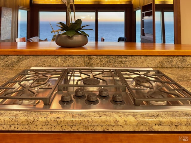 interior details with a water view and stainless steel gas stovetop