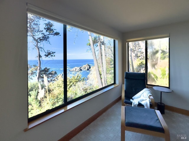 33755 Yardarm Dr Unit 15-1, The Sea Ranch, CA 95497 - sitting room with a water view, carpet, and baseboards