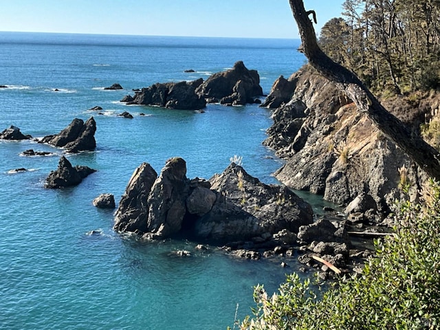 33755 Yardarm Dr Unit 15-1, The Sea Ranch, CA 95497 - water view
