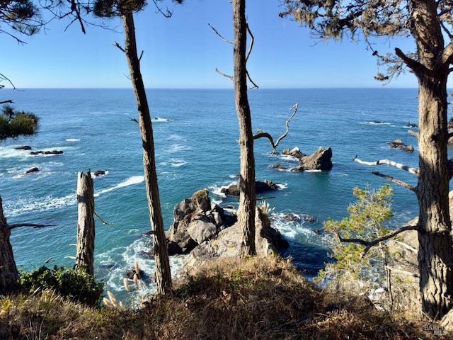 33755 Yardarm Dr Unit 15-1, The Sea Ranch, CA 95497 - water view