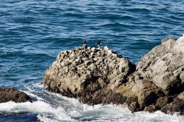 33755 Yardarm Dr Unit 15-1, The Sea Ranch, CA 95497 - water view