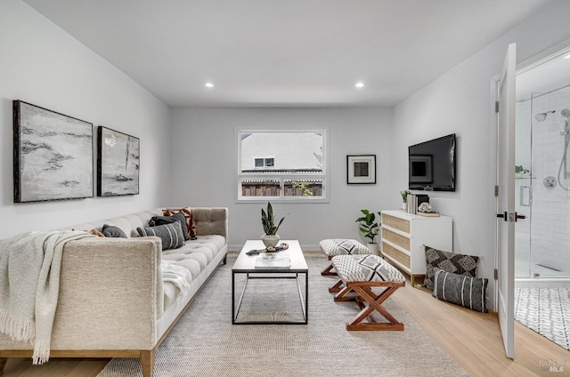 living room featuring hardwood / wood-style floors