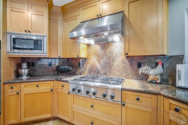 kitchen featuring dark stone counters, decorative backsplash, and stainless steel appliances