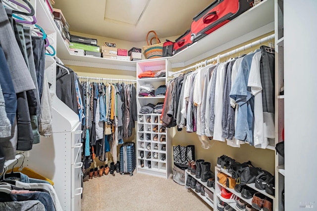 walk in closet featuring carpet floors