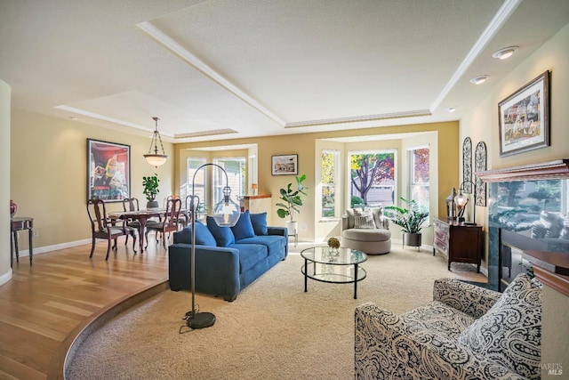 living room featuring wood-type flooring, a textured ceiling, and a raised ceiling