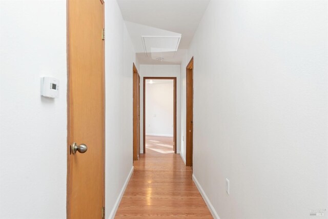 hall featuring light hardwood / wood-style flooring