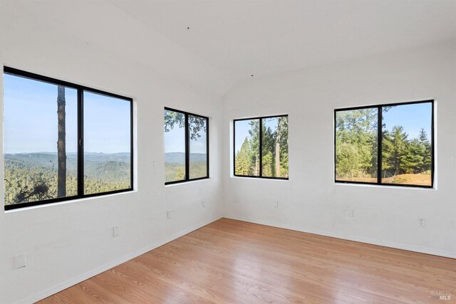 unfurnished room with lofted ceiling and light hardwood / wood-style flooring