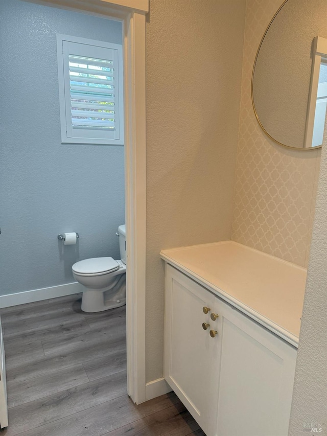 bathroom featuring toilet, vanity, and wood-type flooring