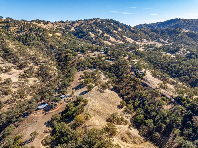 birds eye view of property featuring a mountain view