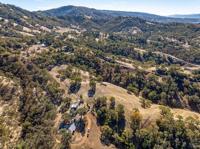 drone / aerial view featuring a mountain view