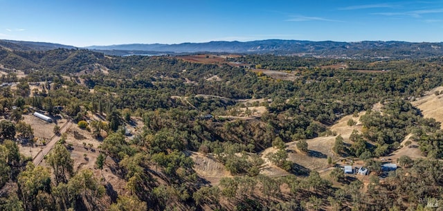 aerial view featuring a mountain view