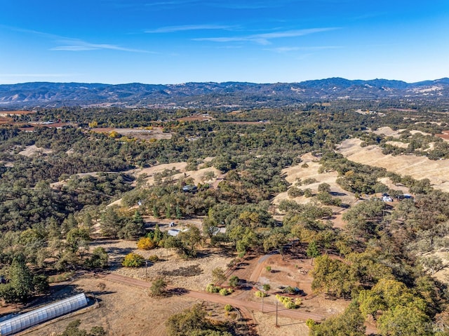 drone / aerial view featuring a mountain view