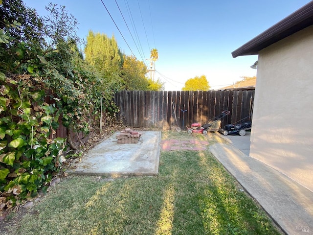 view of yard with a patio and a fenced backyard