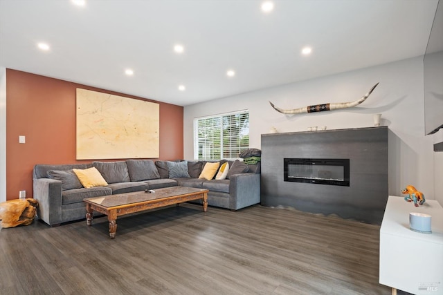 living room with dark wood-type flooring