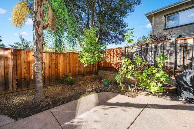 fenced backyard featuring a patio