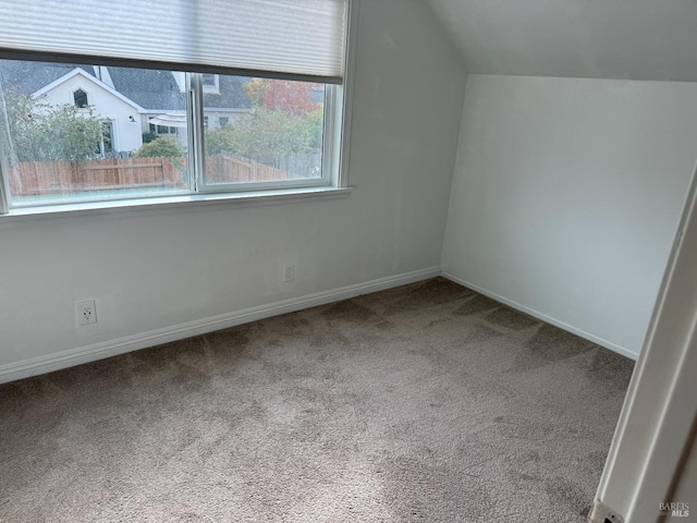 additional living space with carpet and lofted ceiling