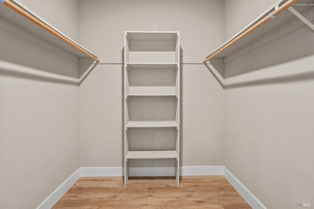 walk in closet with wood-type flooring