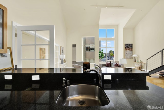 kitchen featuring a towering ceiling, sink, and rail lighting