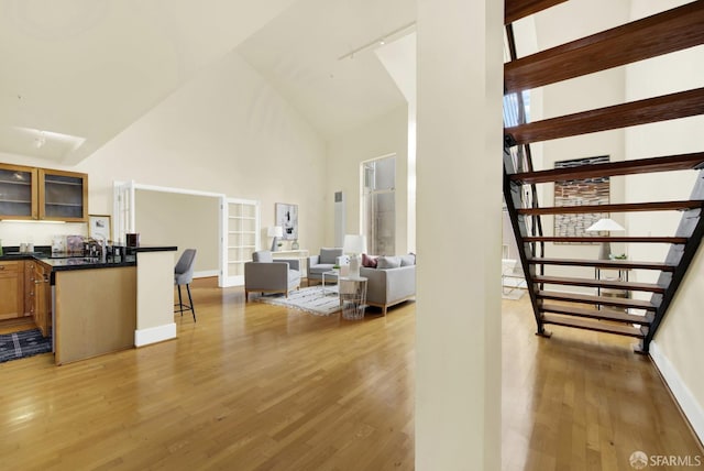 living room featuring light hardwood / wood-style floors and high vaulted ceiling