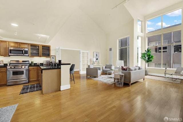 kitchen with appliances with stainless steel finishes, light wood-type flooring, a kitchen breakfast bar, and a high ceiling