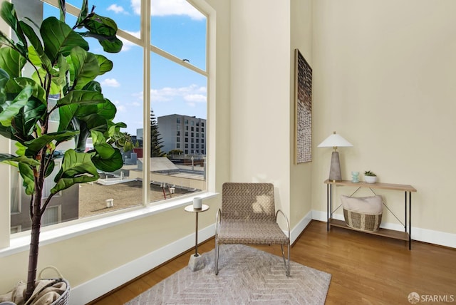 living area featuring wood-type flooring