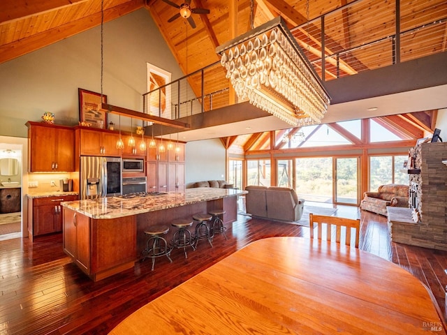 kitchen featuring high vaulted ceiling, appliances with stainless steel finishes, and dark wood-type flooring