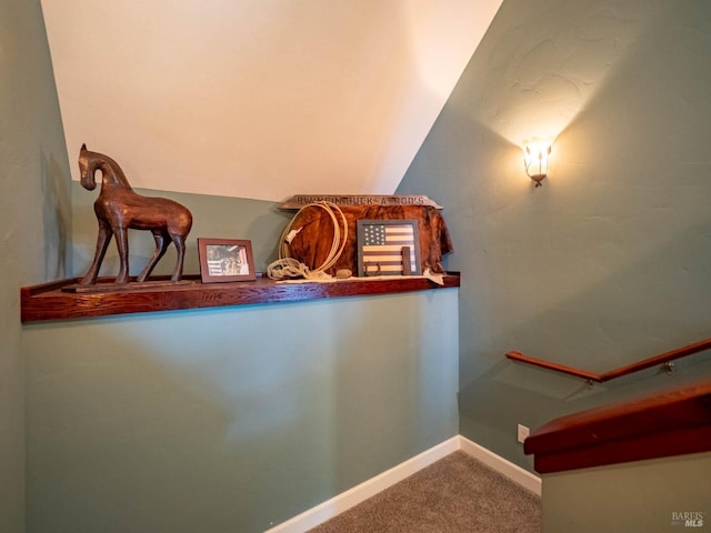 stairway with carpet