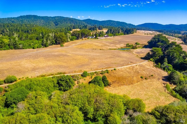 drone / aerial view with a mountain view